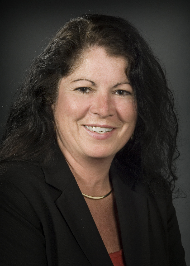 Donna Armellino is vice president of infection prevention at North Shore-Long Island Jewish Health System.
